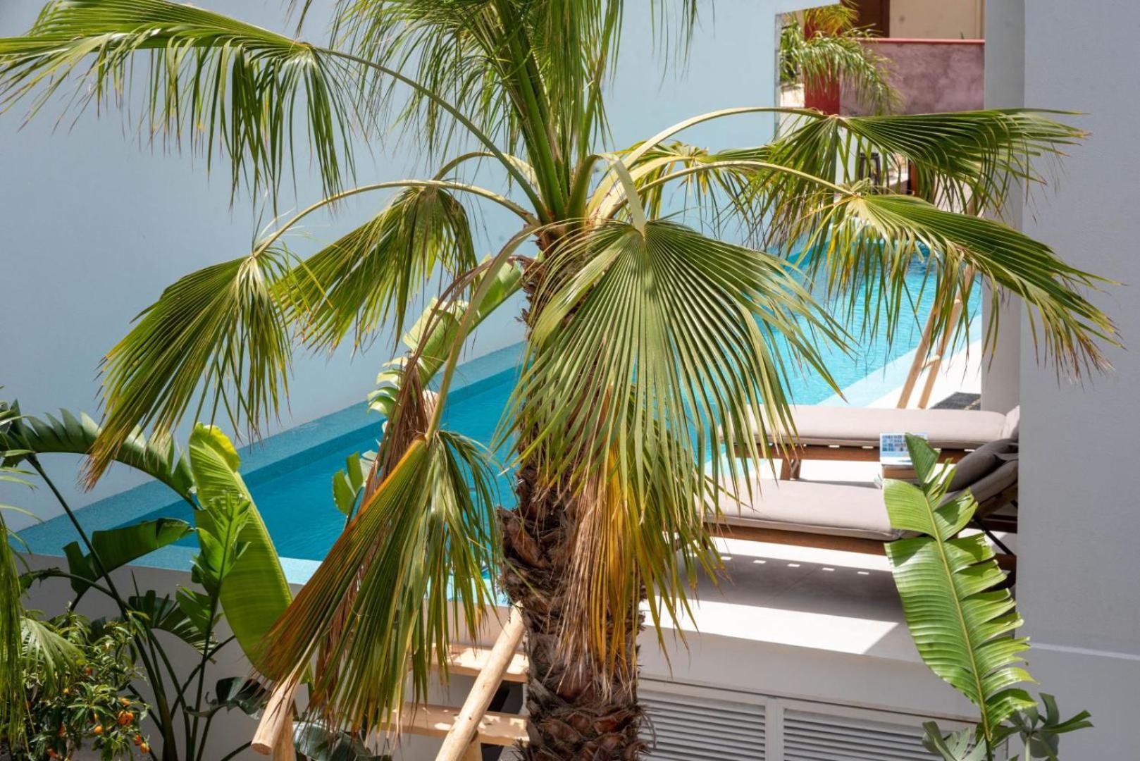 D Palm Premium Living - Kalathas, Chania Hriszí Aktí Haniá Kültér fotó